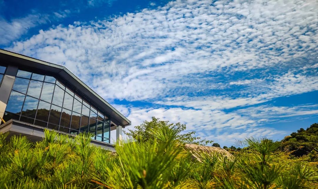 身份证3703,3703身份证开头是哪里的