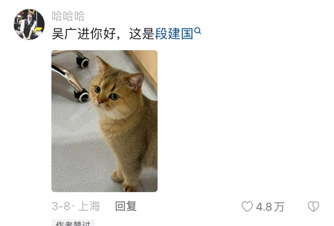 千万别给宠物取个名字,取一个仙气的宠物名字