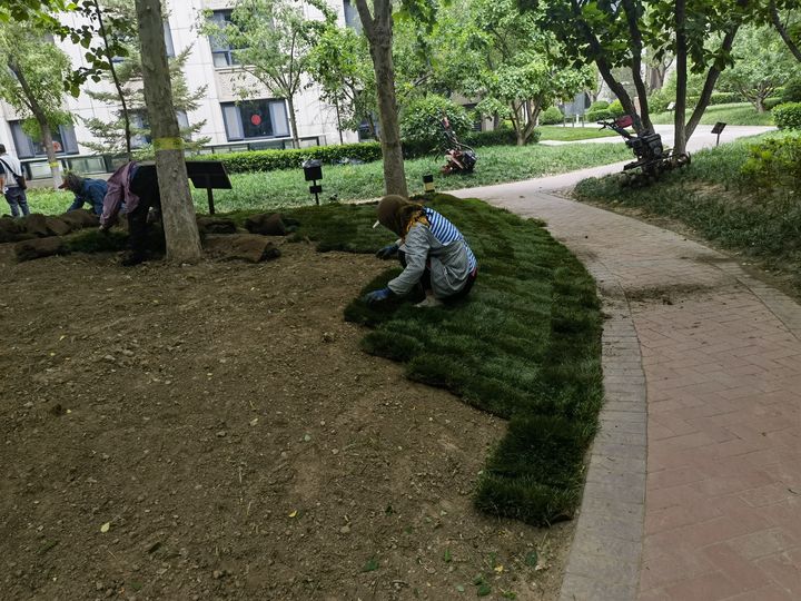 北京刚需改善房子买在哪里比较好,北京新北苑的房子值得买吗