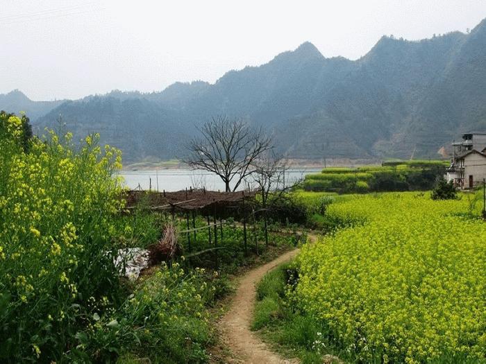 你理想中的乡村生活是这样的吗,你眼中的乡村生活是什么色彩的