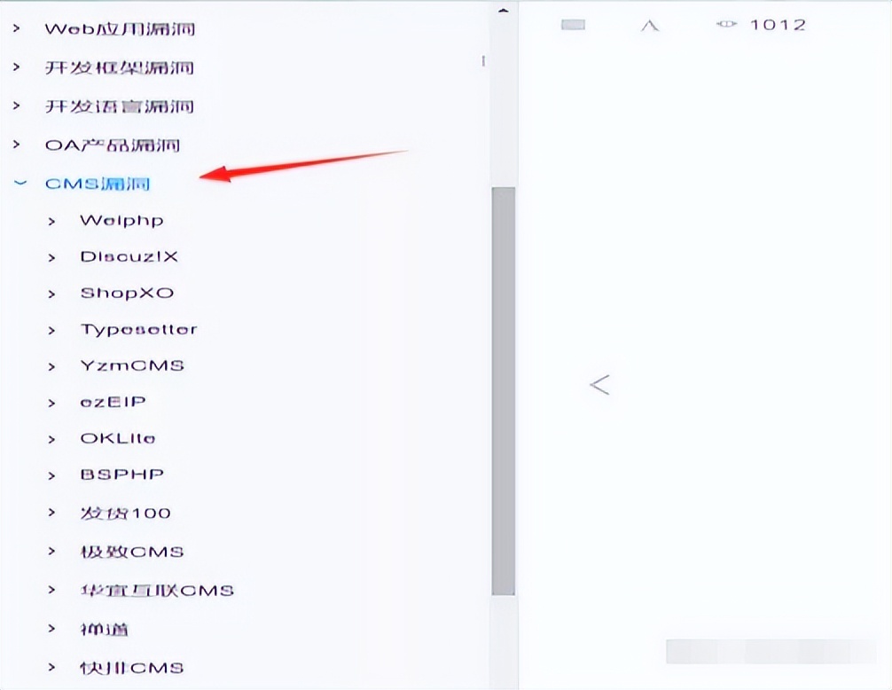 渗透测试中的漏洞挖掘与利用技术,渗透测试全套教程从原理到实战