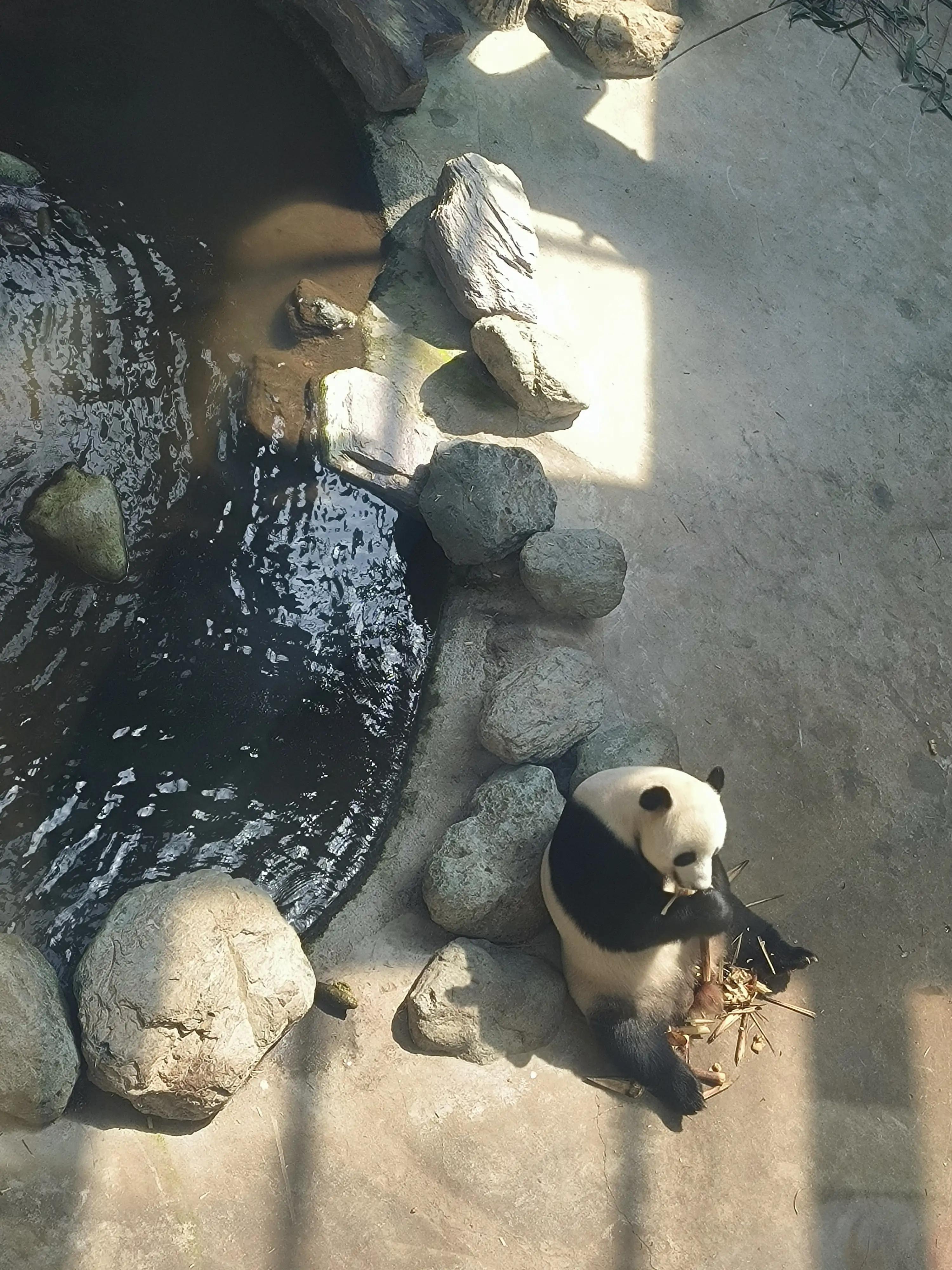 武汉到神农架高铁开通了吗,武汉到神农架汽车多长时间