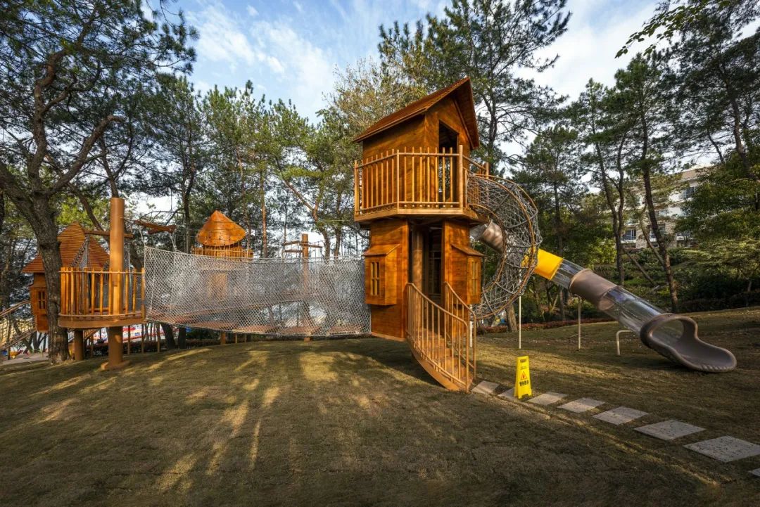 陈妙林直播,开元酒店集团董事长陈妙林