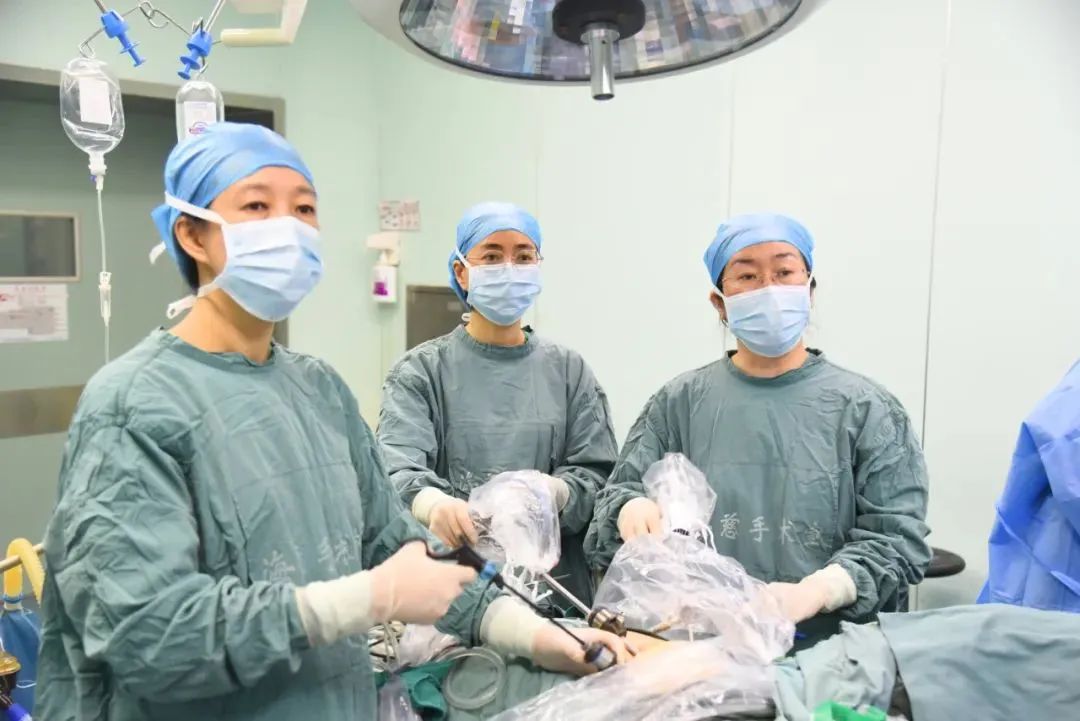 保护女性盆腔健康,守护女性健康的项目