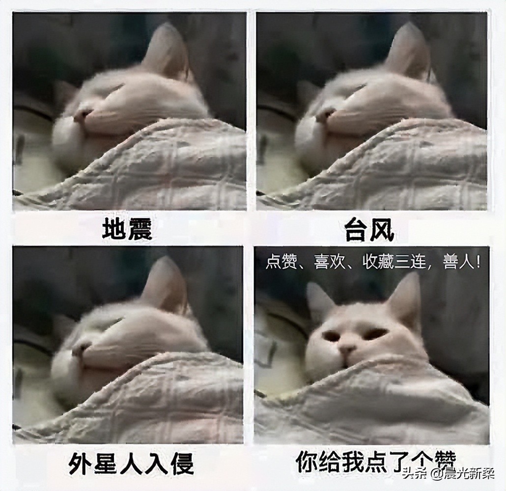 家用打印机买哪个好求推荐,1600左右的打印机推荐