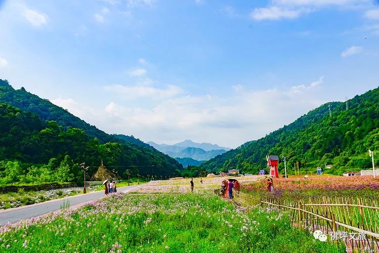 这才是清凉夏天的打开方式,清凉一夏夏天的正确打开方式