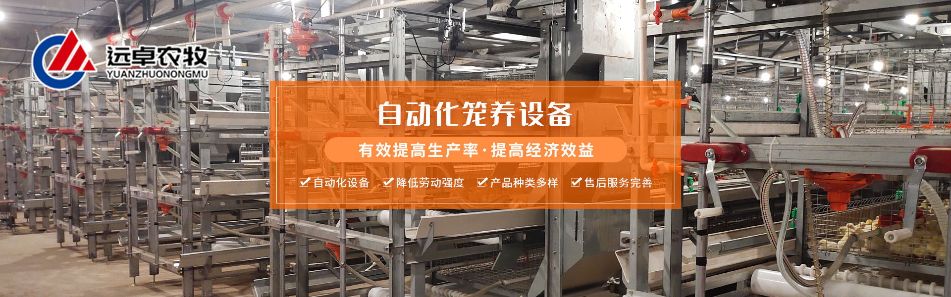 养鸡饲养管理全程,养鸡精细化管理一键解决养殖难题