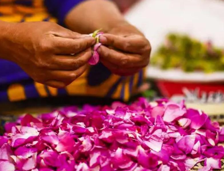 云南一小伙打工5年回家,云南小伙14岁创业18年