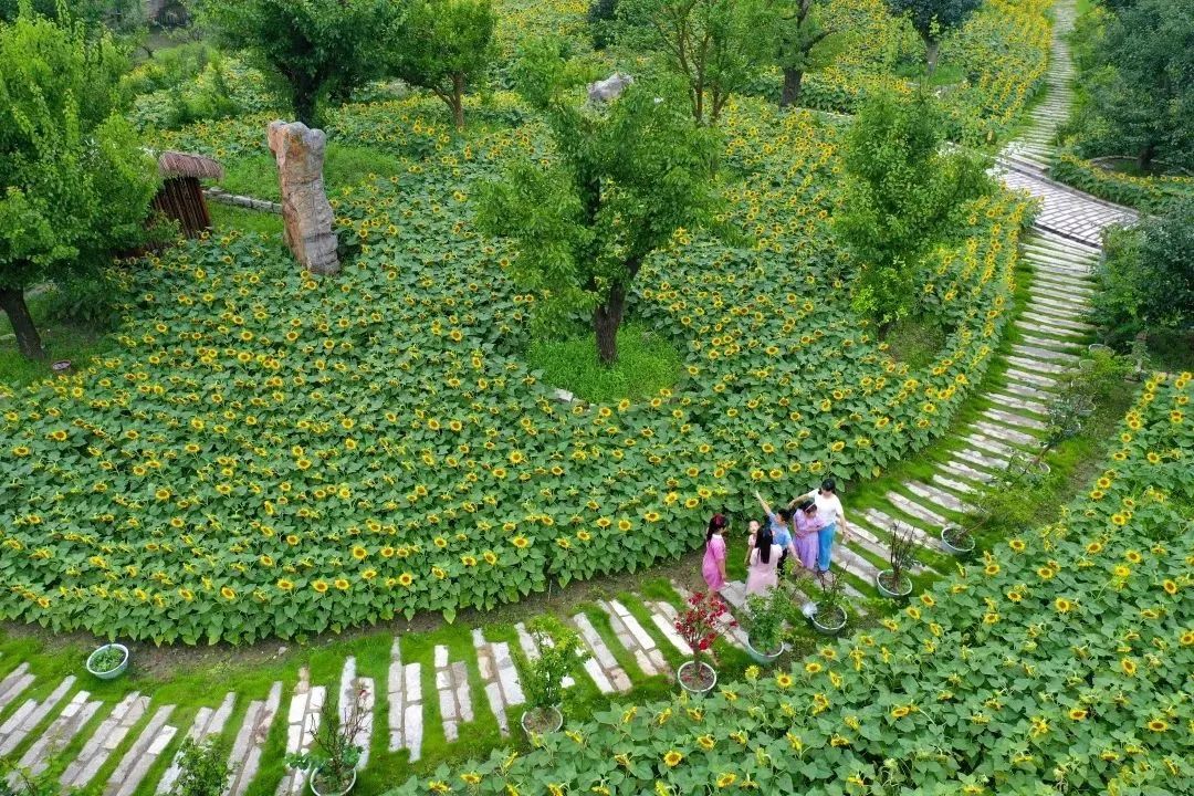 上海郊游一览表,上海郊游