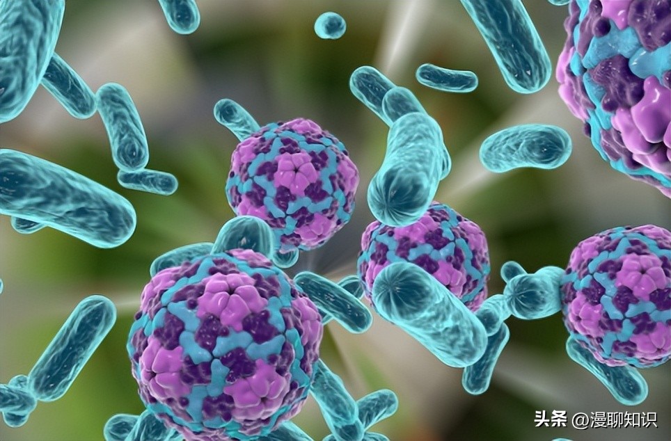 马传染病的传播,马传染性子宫炎