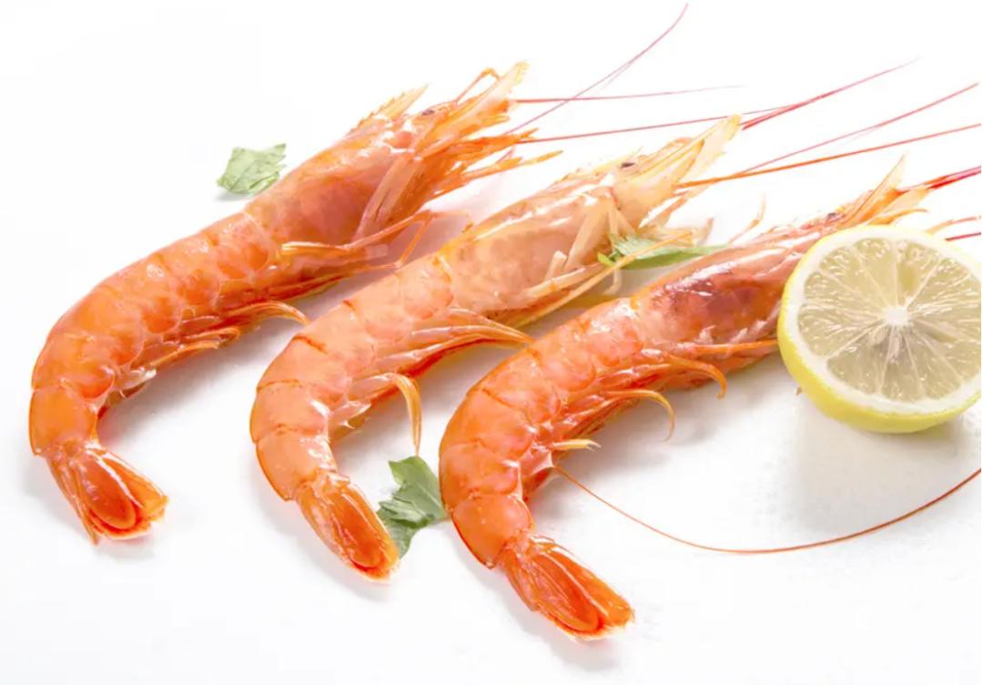 阿根廷红虾有几种,阿根廷红虾为什么红