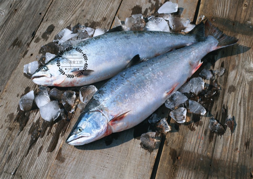 生吃三文鱼后怎么杀掉寄生虫,三文鱼能生吃吗有寄生虫吗
