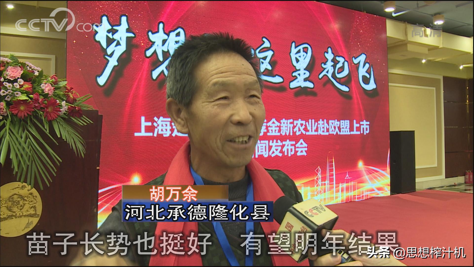 黑果花楸市场前景如何,辽宁黑果花楸苗基地