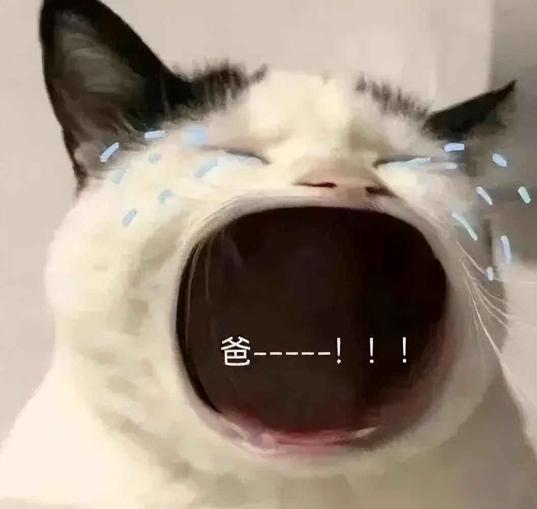 微信红包今天调整了吗,微信过年红包上限