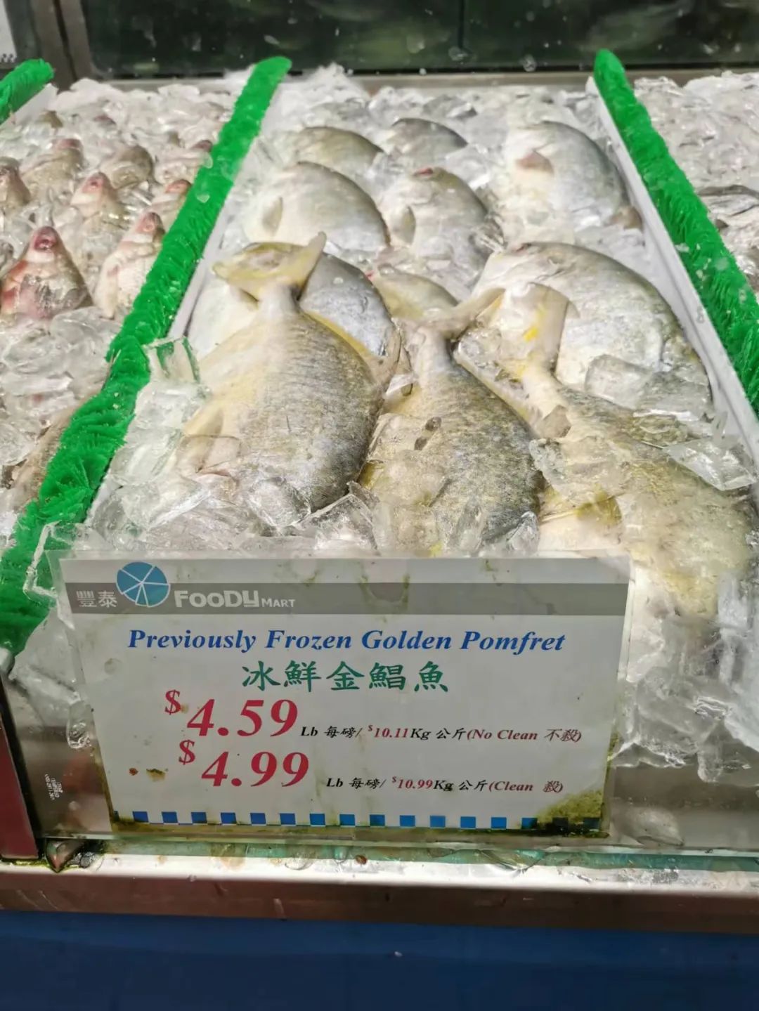 移民多伦多需要什么,移民多伦多做什么