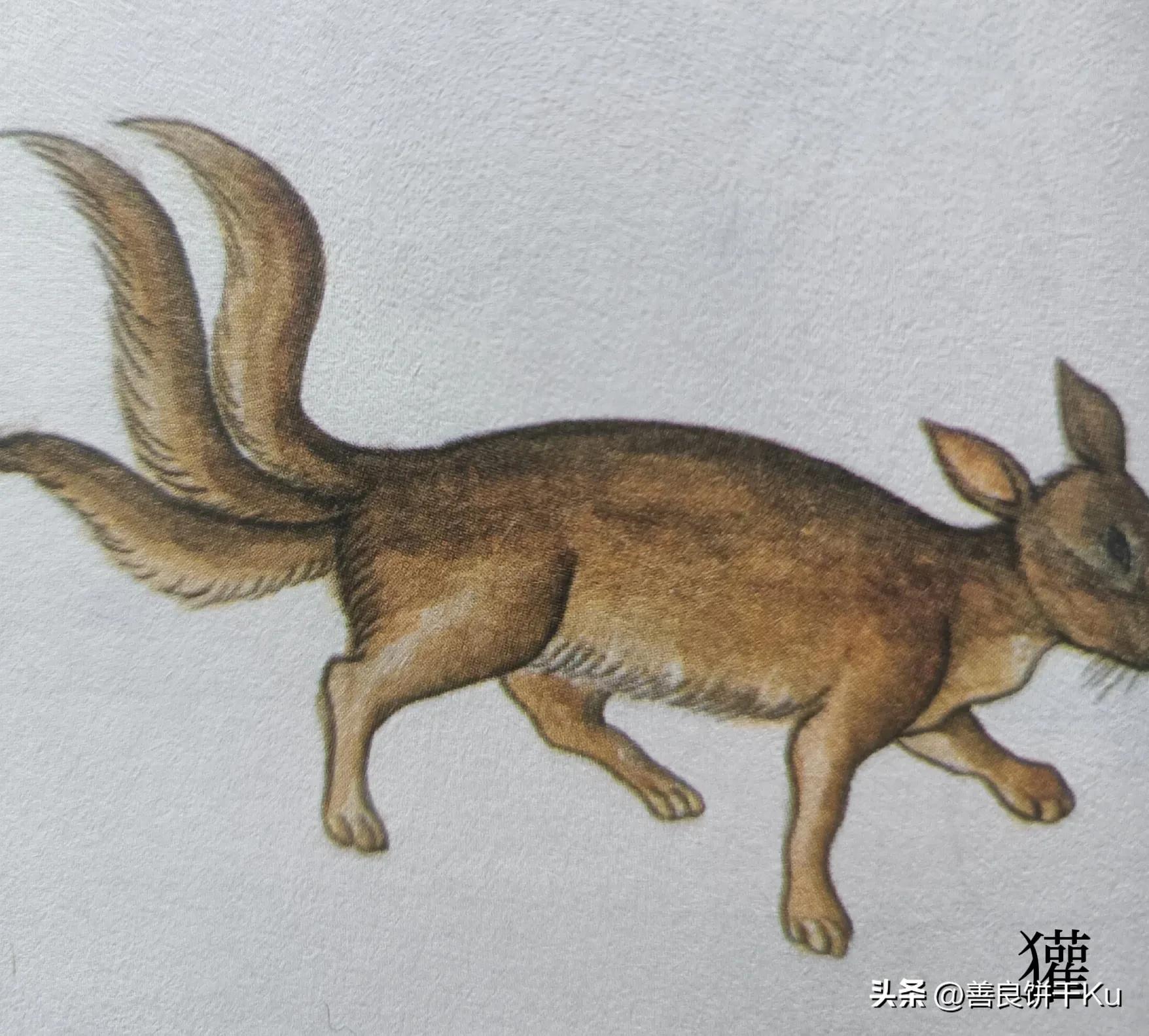 西次三经解读,西次三经什么意思