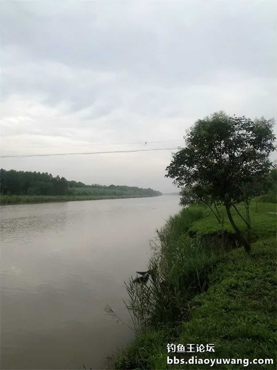 崇明北横引河水深,北横引河能钓鱼吗