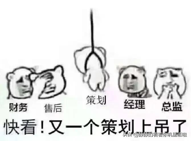 房地产策划底层逻辑,房地产策划最终归宿