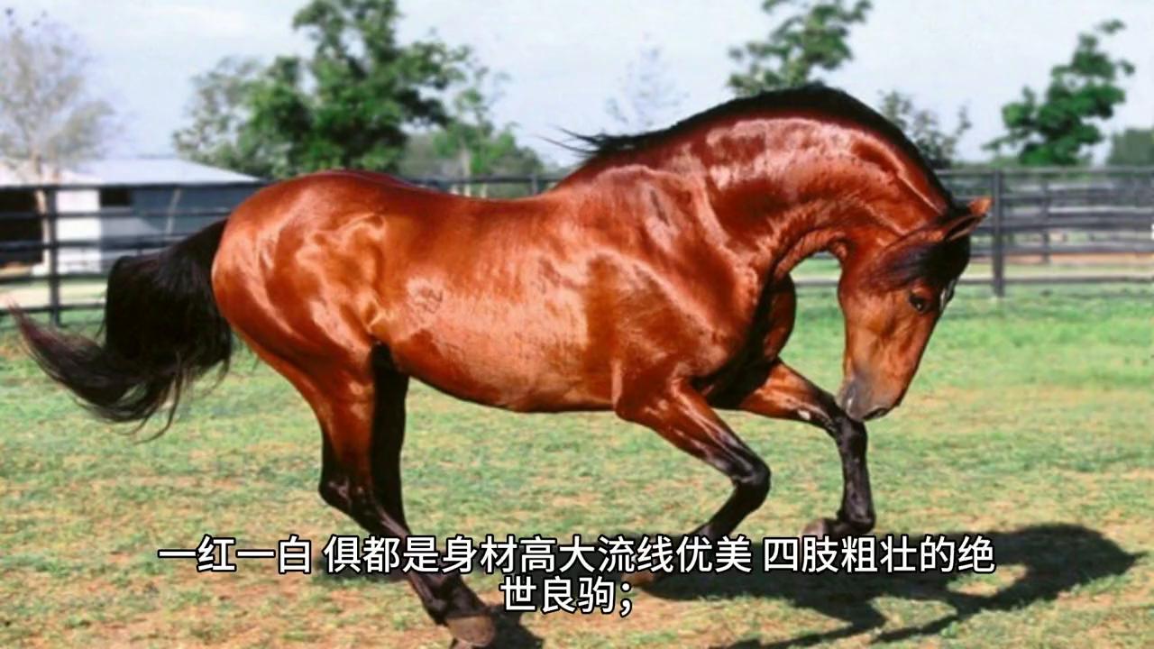 三国之召唤猛将100%通关,三国之召唤猛将第二部