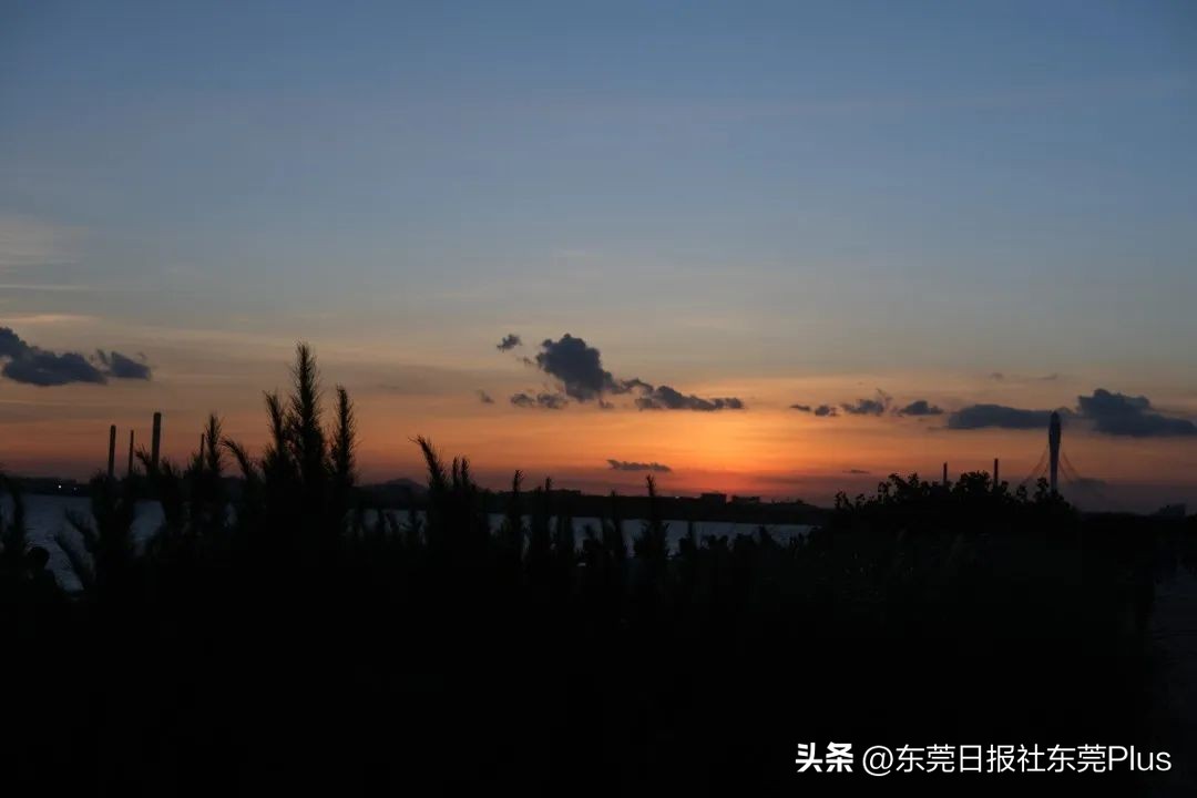 东莞可以看海和赏花的公园,东莞国庆看海游玩推荐