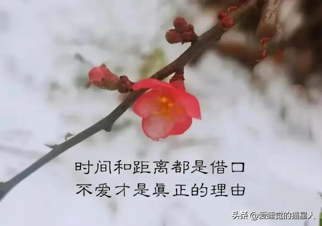 真正爱上一个人是从怕失去开始的,我不会爱上任何人因为我害怕失去