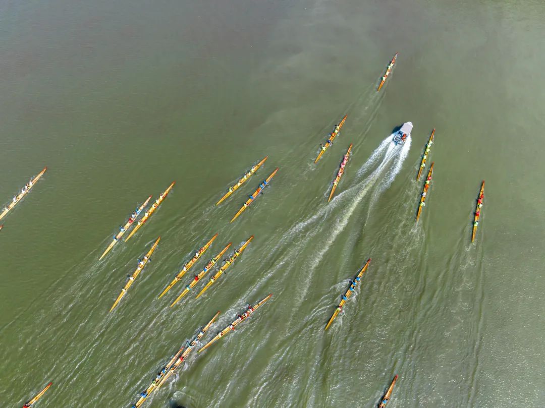 瓒呯櫨涓囪浼楄鐪嬬殑姣旇禌,浣涘北椤哄痉鐚涢緳