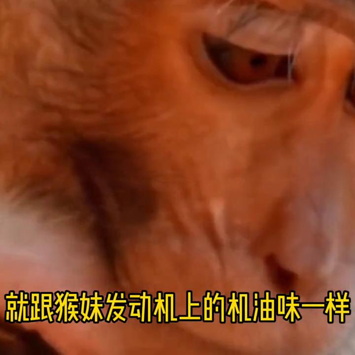 瘊子长脸上怎么办,猴子脸上长瘊子