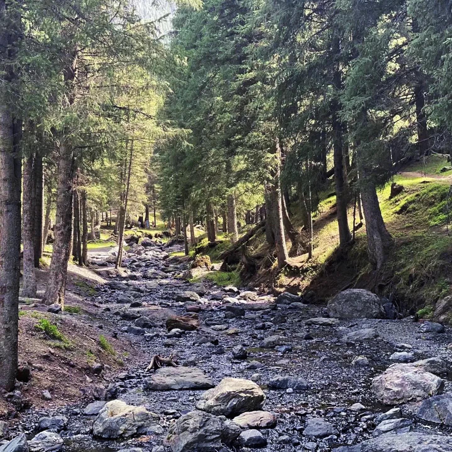 乌鲁木齐南山出游注意事项,去乌鲁木齐南山需要带什么东西