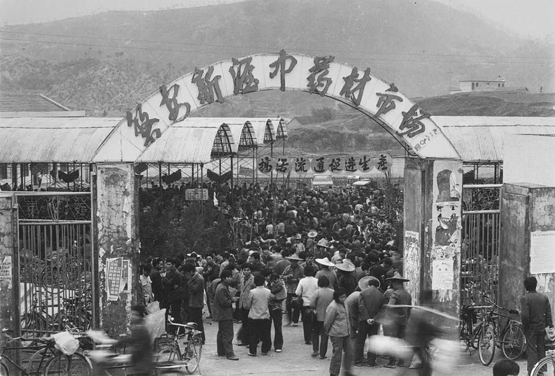 金华城老照片,浙江金华老视频