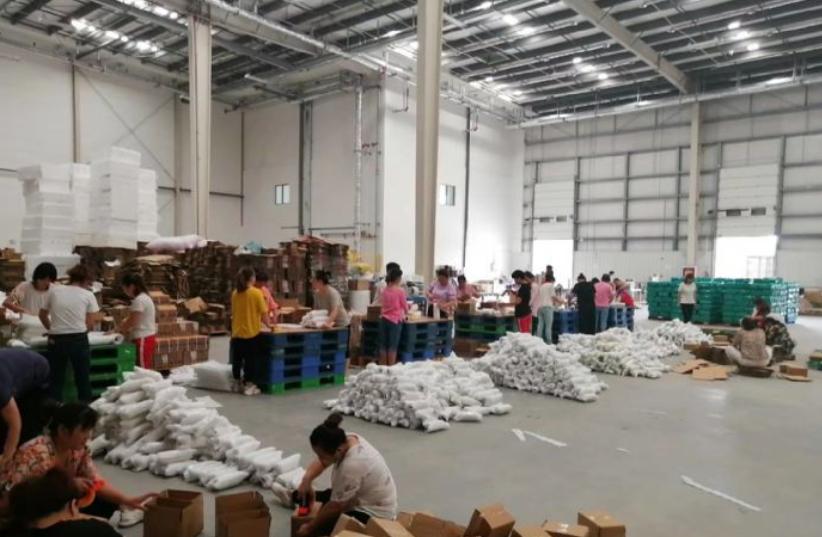 杭州西湖免门票收入及客流量,杭州西湖免门票后经济收入多少