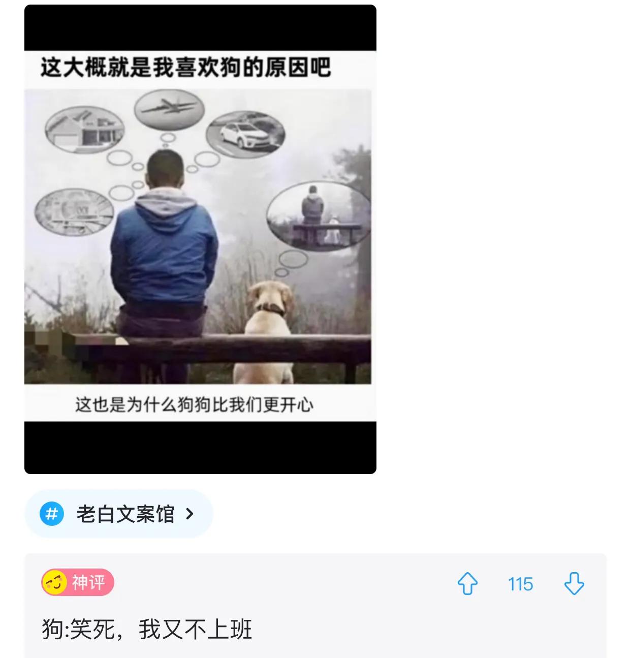 有什么发明违背初衷,十个违背发明者初衷的发明