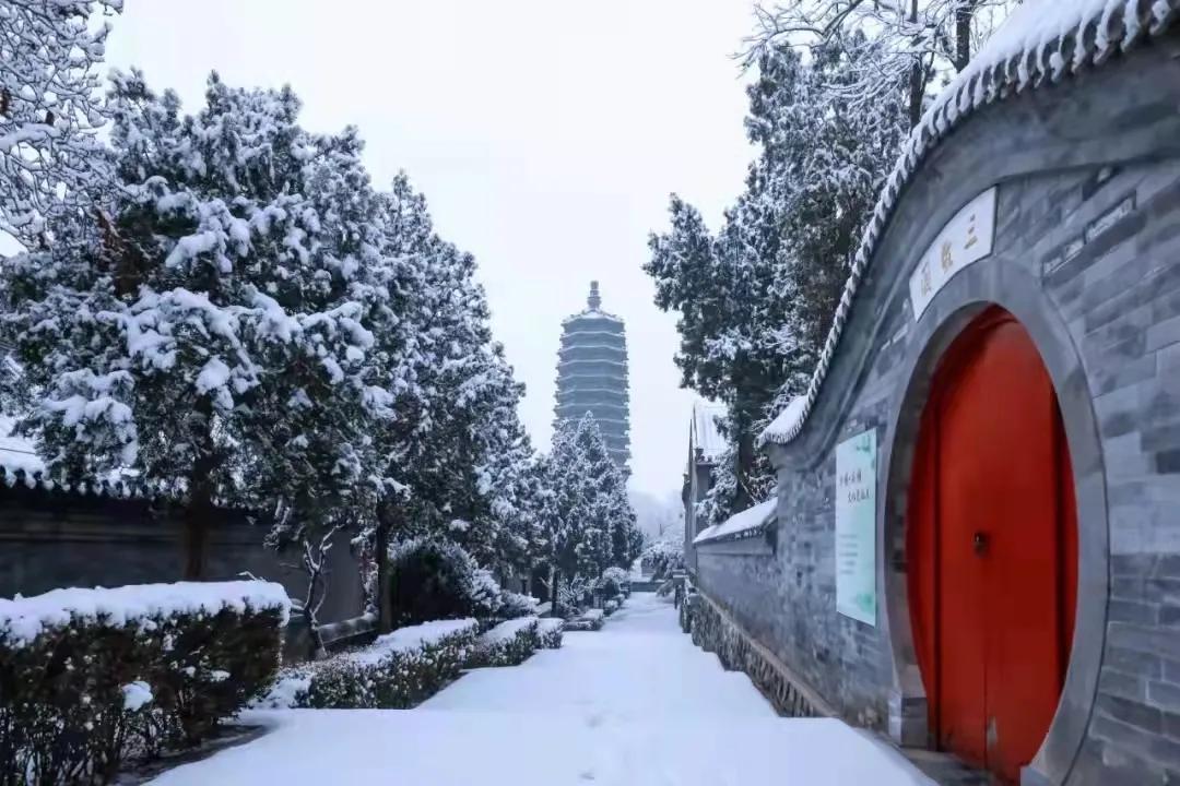 微信抢红包赌博犯法吗,微信抢红包赌博构成什么罪