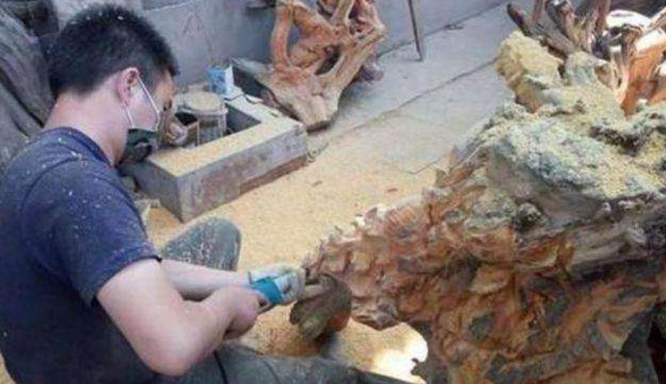 广西男子雕楠木,15米长东方雄狮根雕300万元拒卖