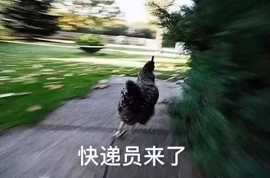 双11当天全国快递收快递6.39亿件,双11首日全国共揽收快递5.69亿件