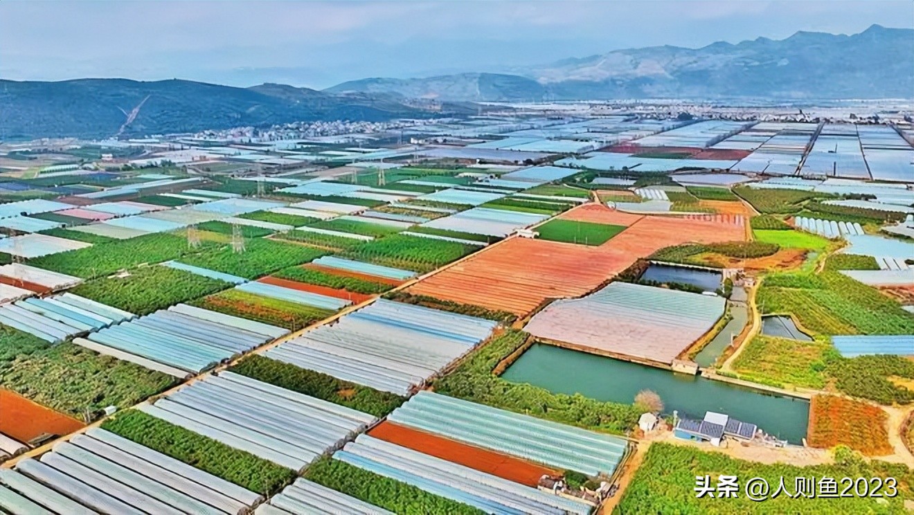 2023年中国农业农村报告,2022农业农村发展趋势