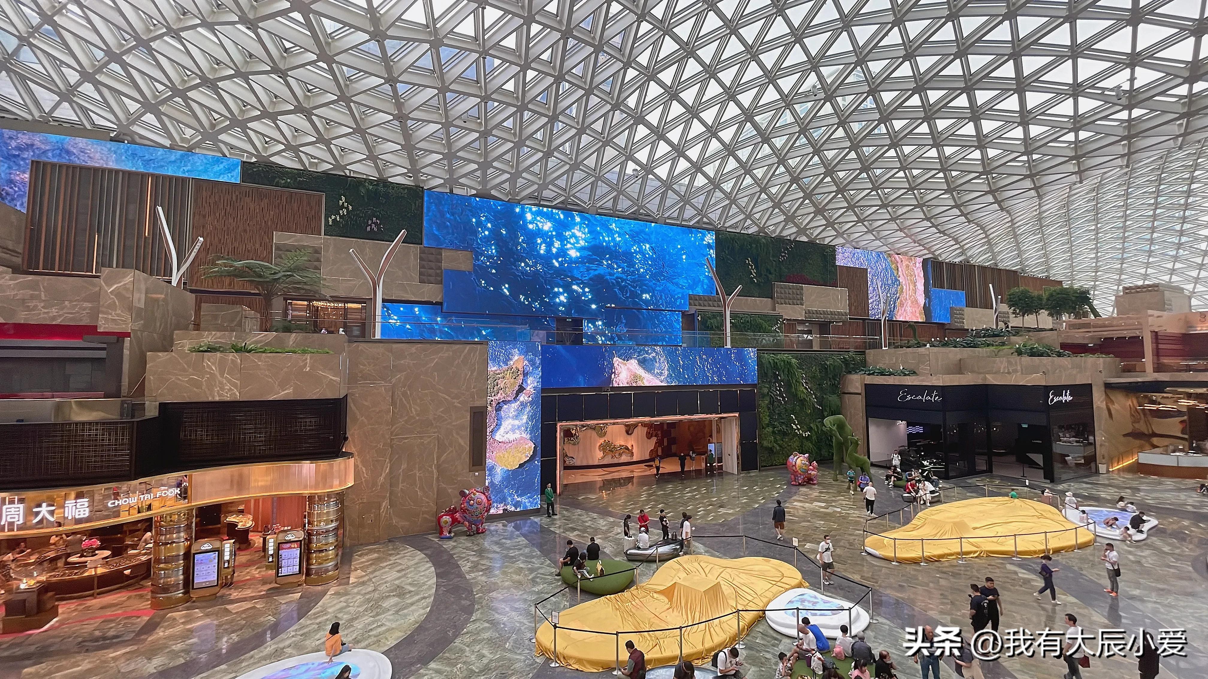 去澳门带小孩攻略,带娃去澳门好玩吗