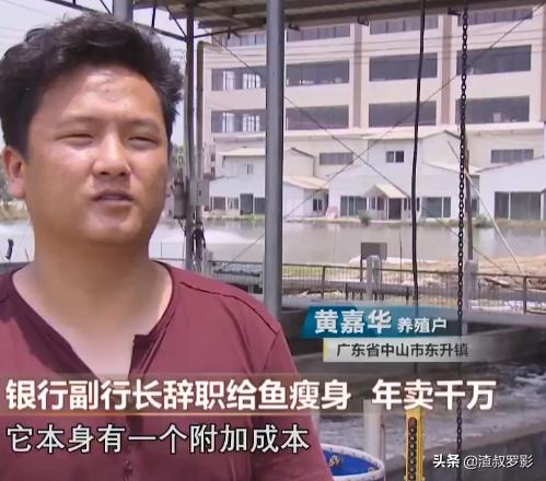 银行副行长辞职赚钱,中国银行副行长辞职