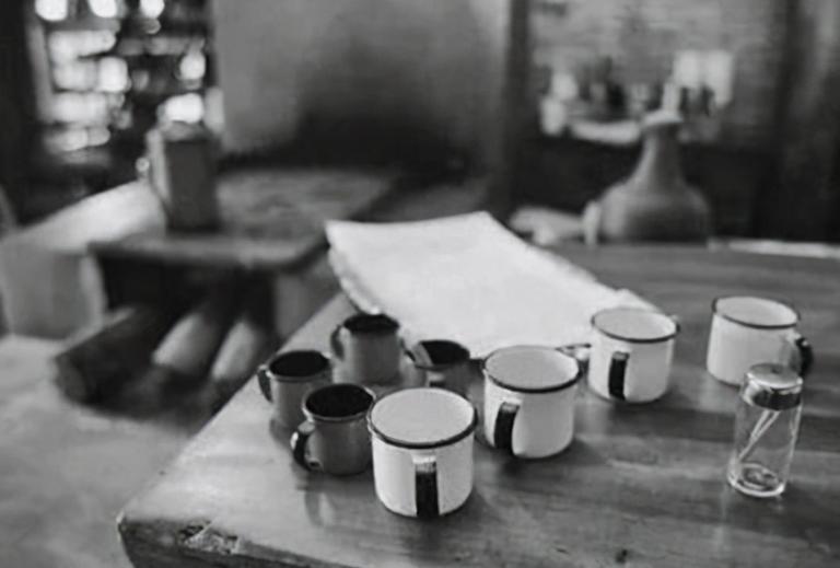 17岁女生殉情真实事件,17岁少女为爱殉情