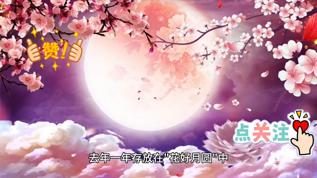 理财小助手名单,理财小助手