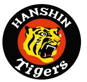 虎年说虎表演,虎年说虎华南虎