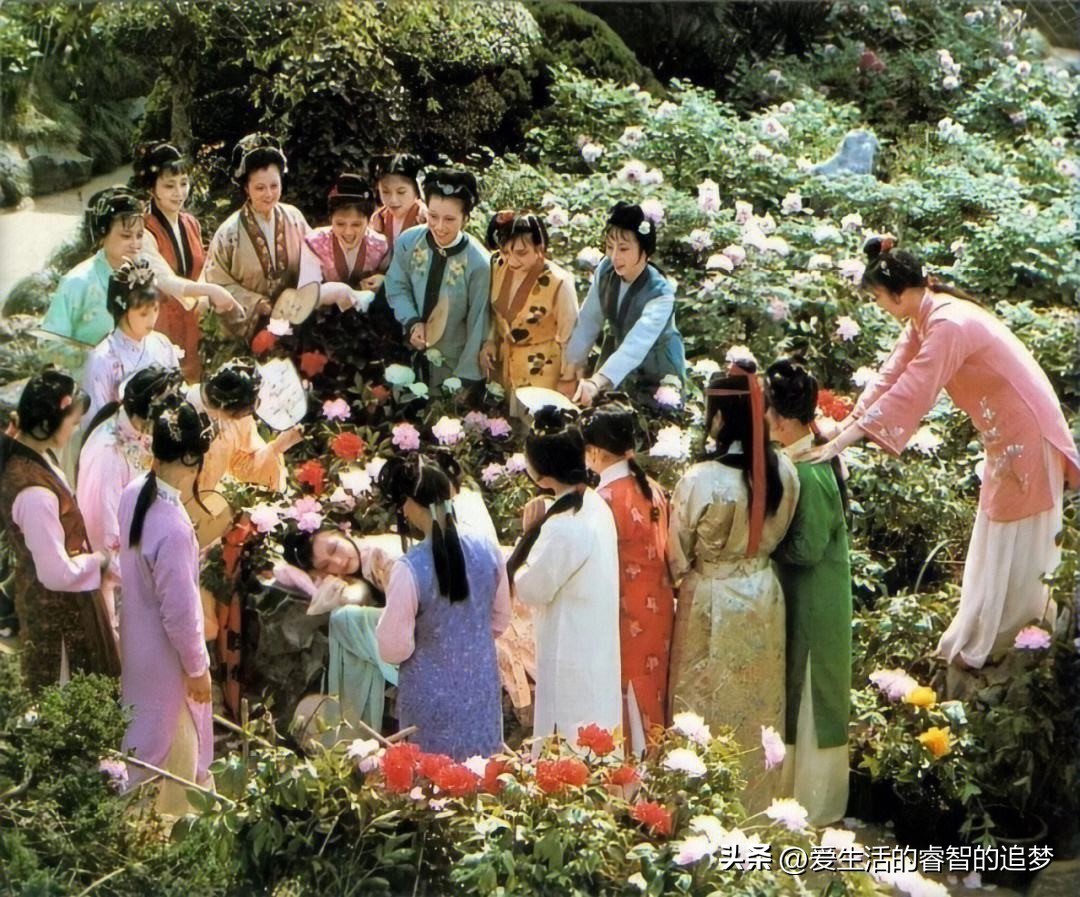 曹雪芹红楼梦判词视频,曹雪芹判词对应历史