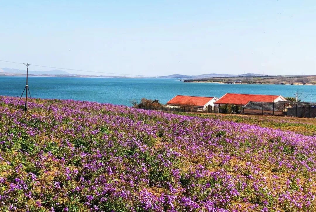 乡村振兴和巩固脱贫攻坚典型案例,人民网2022年乡村振兴示范案例