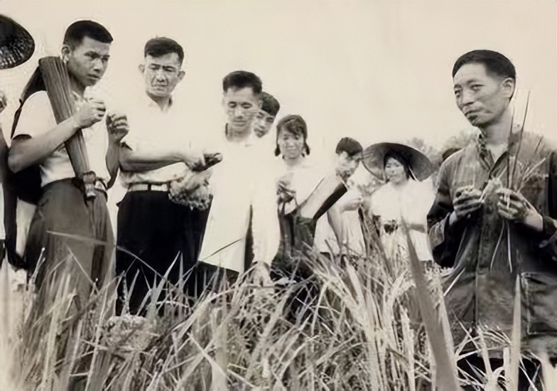 袁隆平年轻时的故事,袁隆平年轻时代