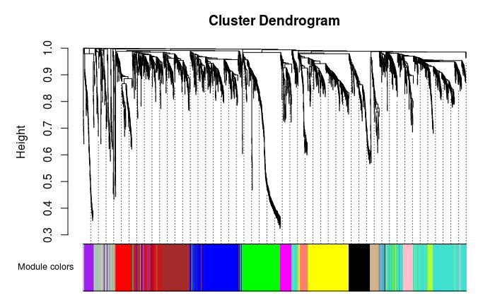 什么是wgcna分析,wgcna是分析什么的