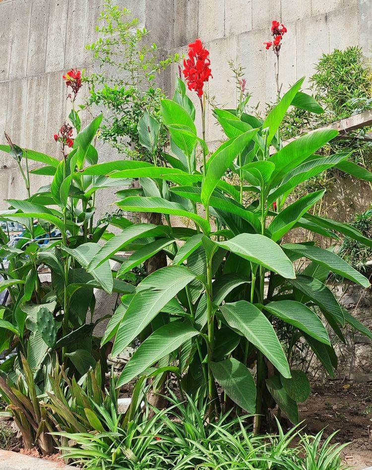 博山陶瓷70年代,博山七八十年代的陶瓷欣赏