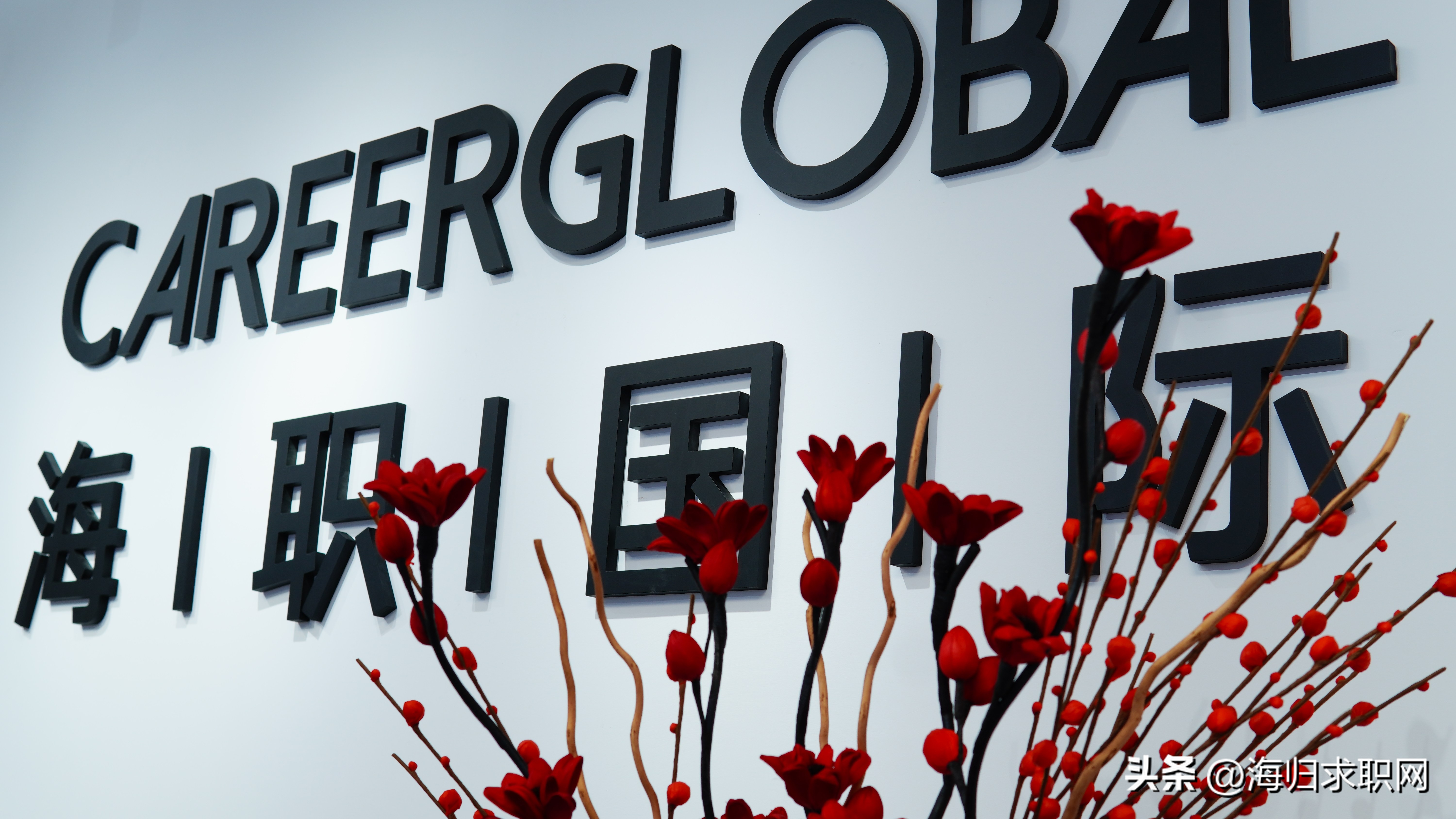 海归应届生求职网官网,海归求职比较靠谱的网站有哪些