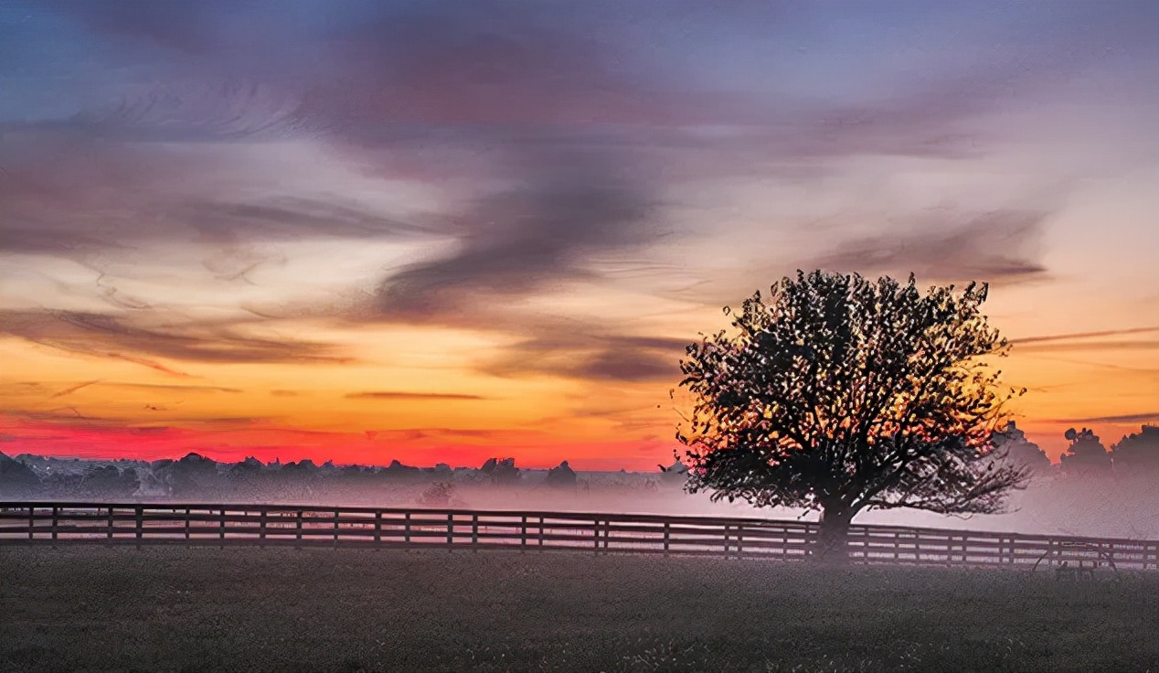 吴承恩曹雪芹四大名著,曹雪芹和吴承恩
