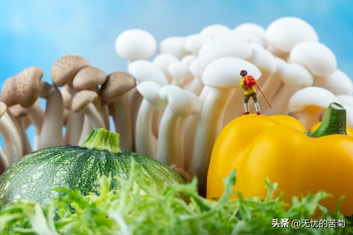 oa办公系统源码毕设,oa办公系统源码