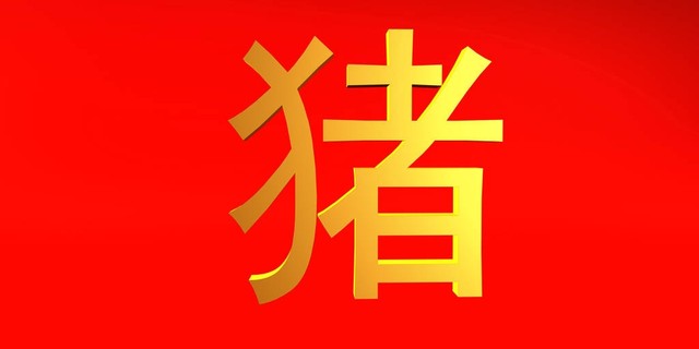 属猪人运气解析大全,属猪的幸运数字和颜色1995年