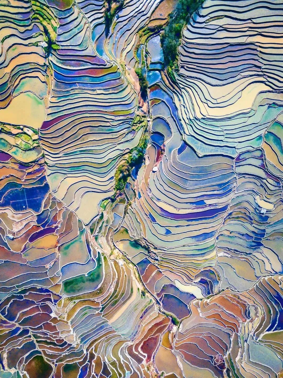 有一种生活叫做云南的生活,有一种叫云南的生活原文